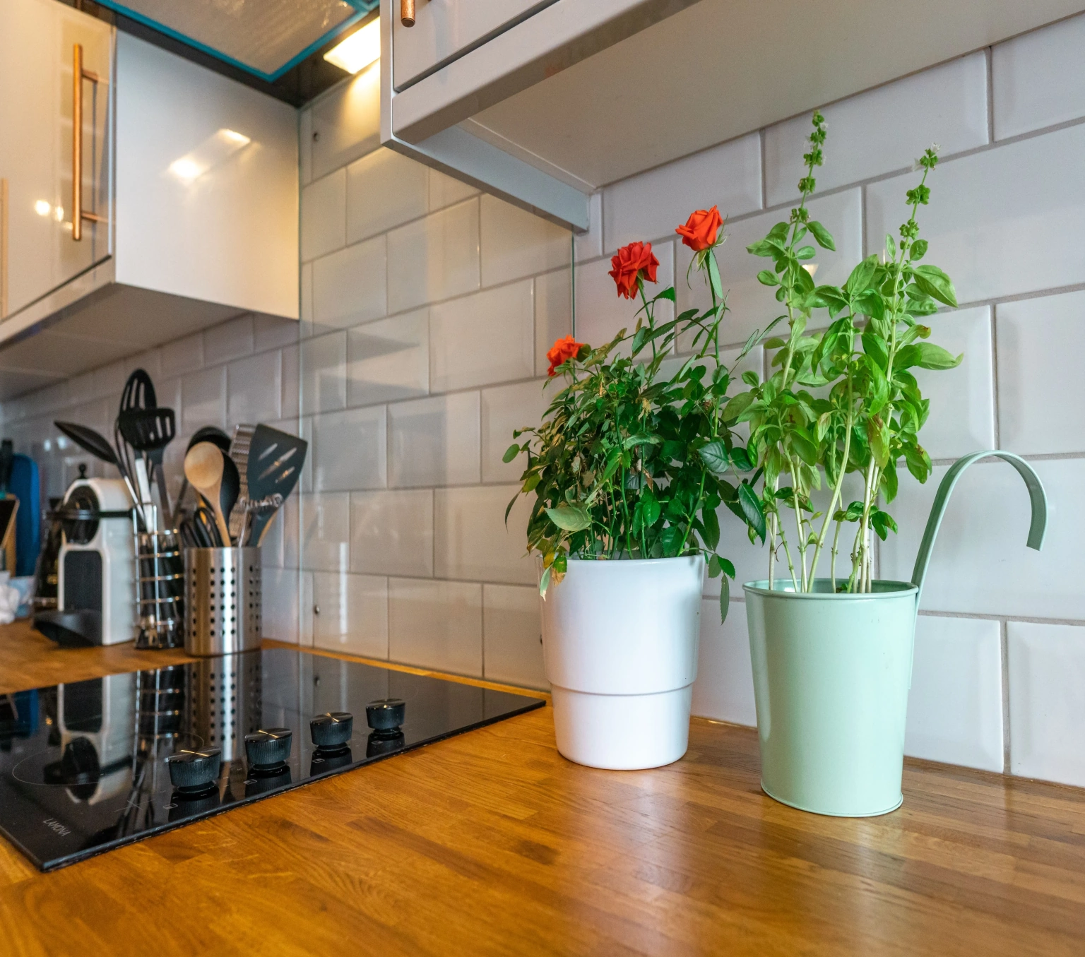 Modular kitchen with minimalist decoratives